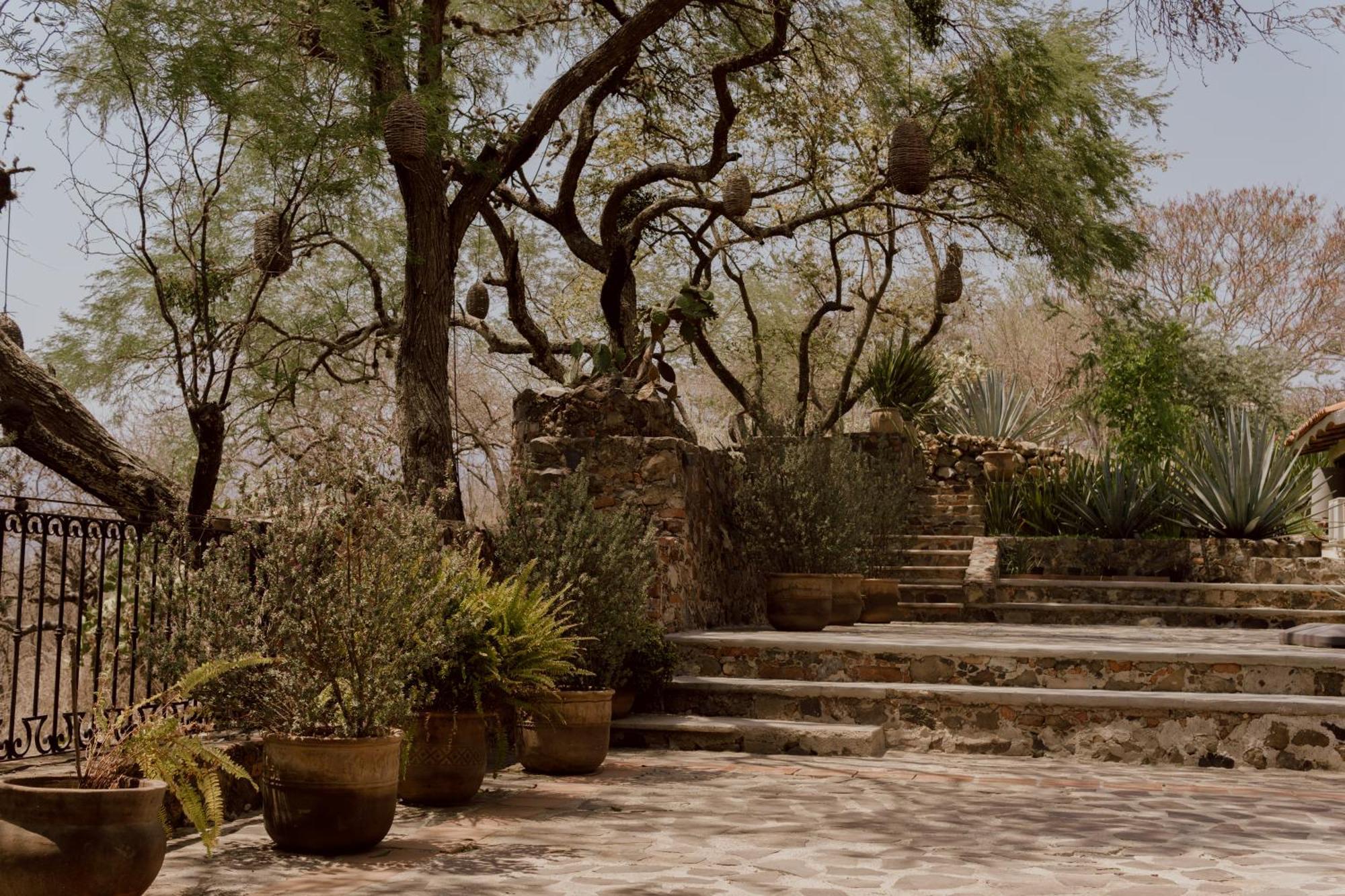 Hacienda San Nicolas De Las Fuentes Teuchitlán Exteriér fotografie