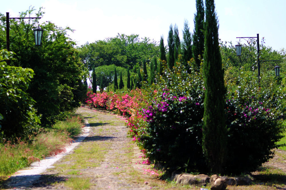 Hacienda San Nicolas De Las Fuentes Teuchitlán Exteriér fotografie