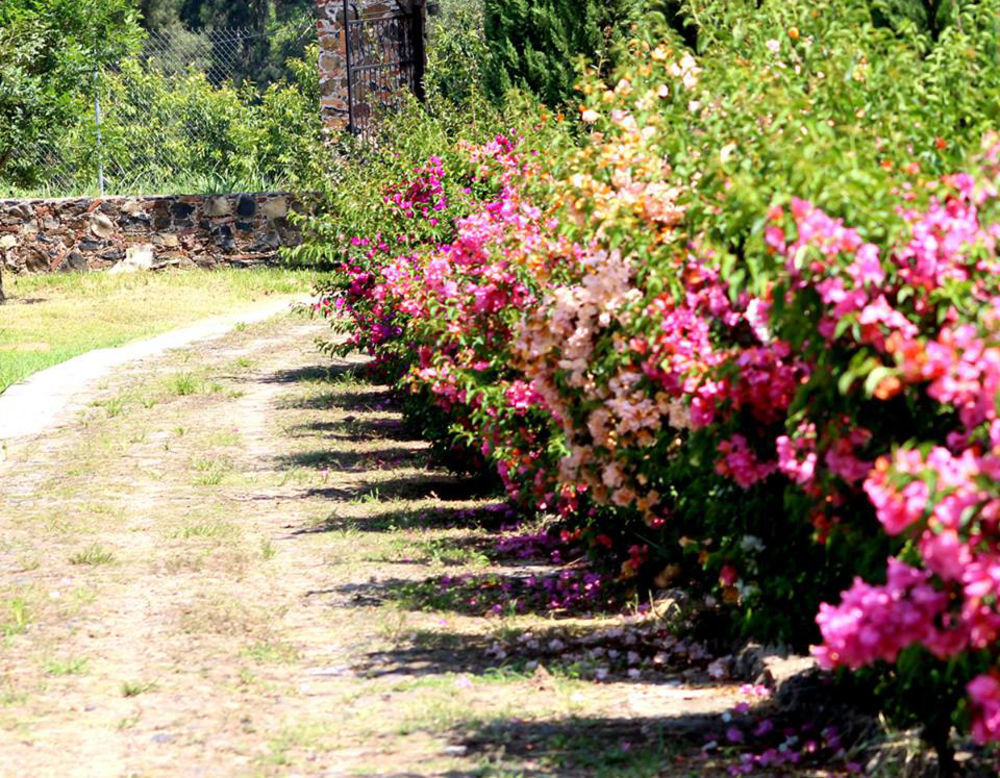 Hacienda San Nicolas De Las Fuentes Teuchitlán Exteriér fotografie